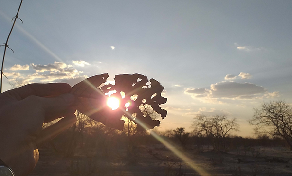 Lerato Adventures – Massgeschneiderte Safaris in der Wildnis