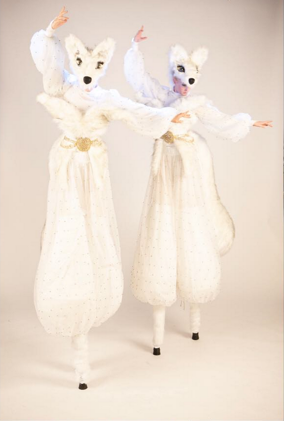 Snow Foxes on Stilts