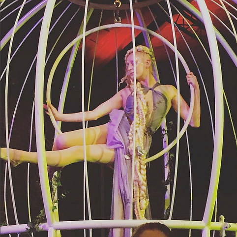 Rapunzel Twisted Fairytale Aerial Hoop Act in Birdcage Prop