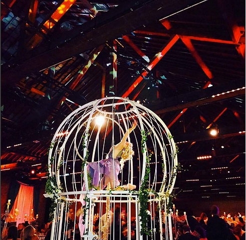 Katie Hardwick Aerial Raunzel Act