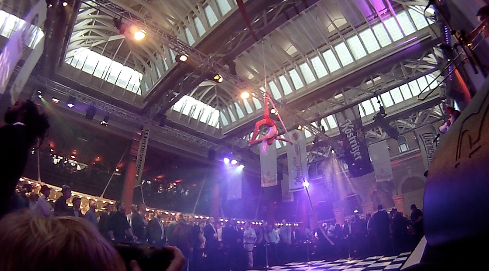 Katie Aerial Rope act