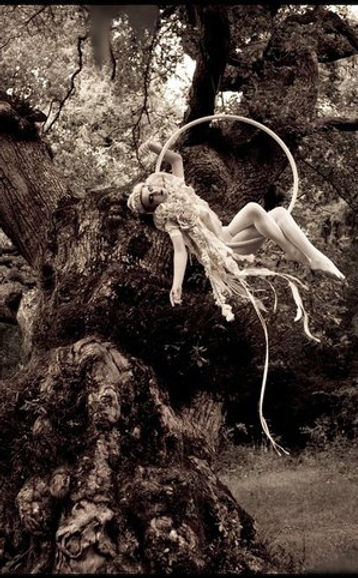 ethereal aerial hoop