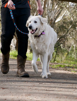 7F82CAF9-6F46-497C-AA47-067DED2E1B68_1_201_a