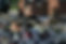IMG_3415.jpeg