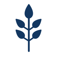 Plant_Blue-01.png
