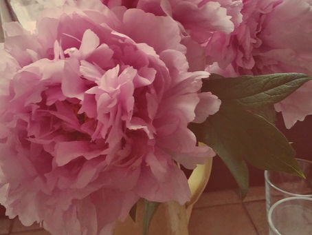 Peonies