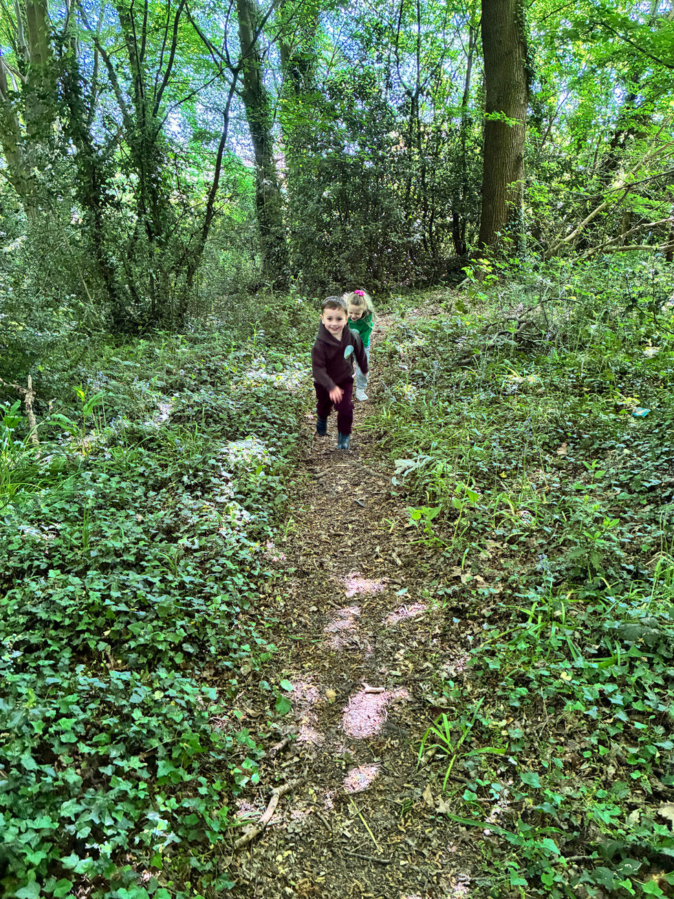 running in the woods 2