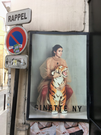 IMG_5433.jpeg