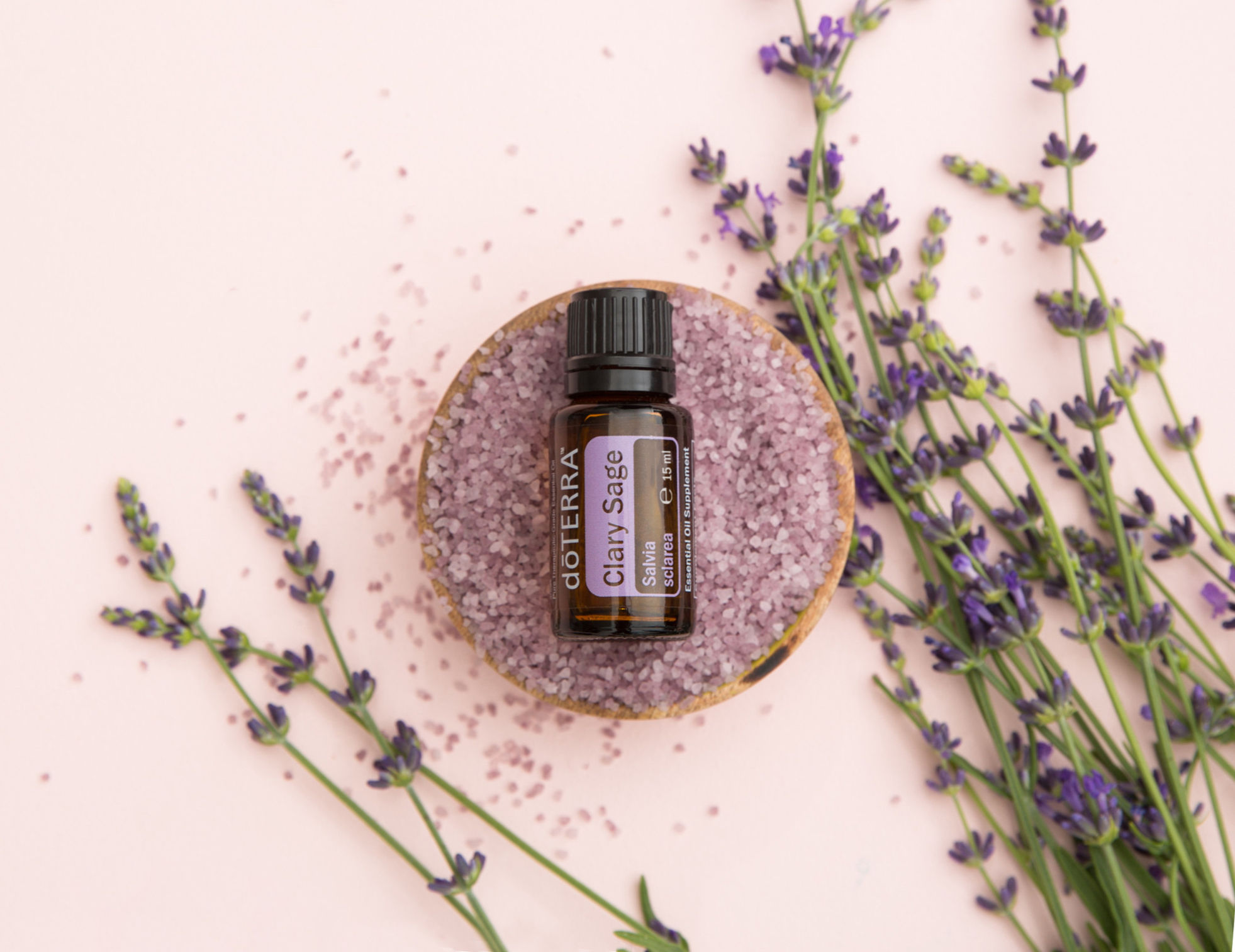 dōTERRA Clary Sage – Muskatellersalbei 15mö