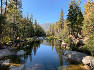 IMG_0624.jpeg