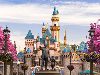 O que vale mais: um balde de agua ou um ingresso para o parque da Disney?