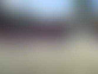 親子大会を開催しました