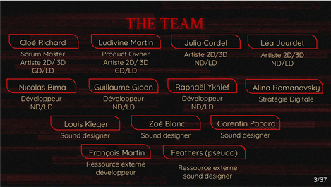 Team