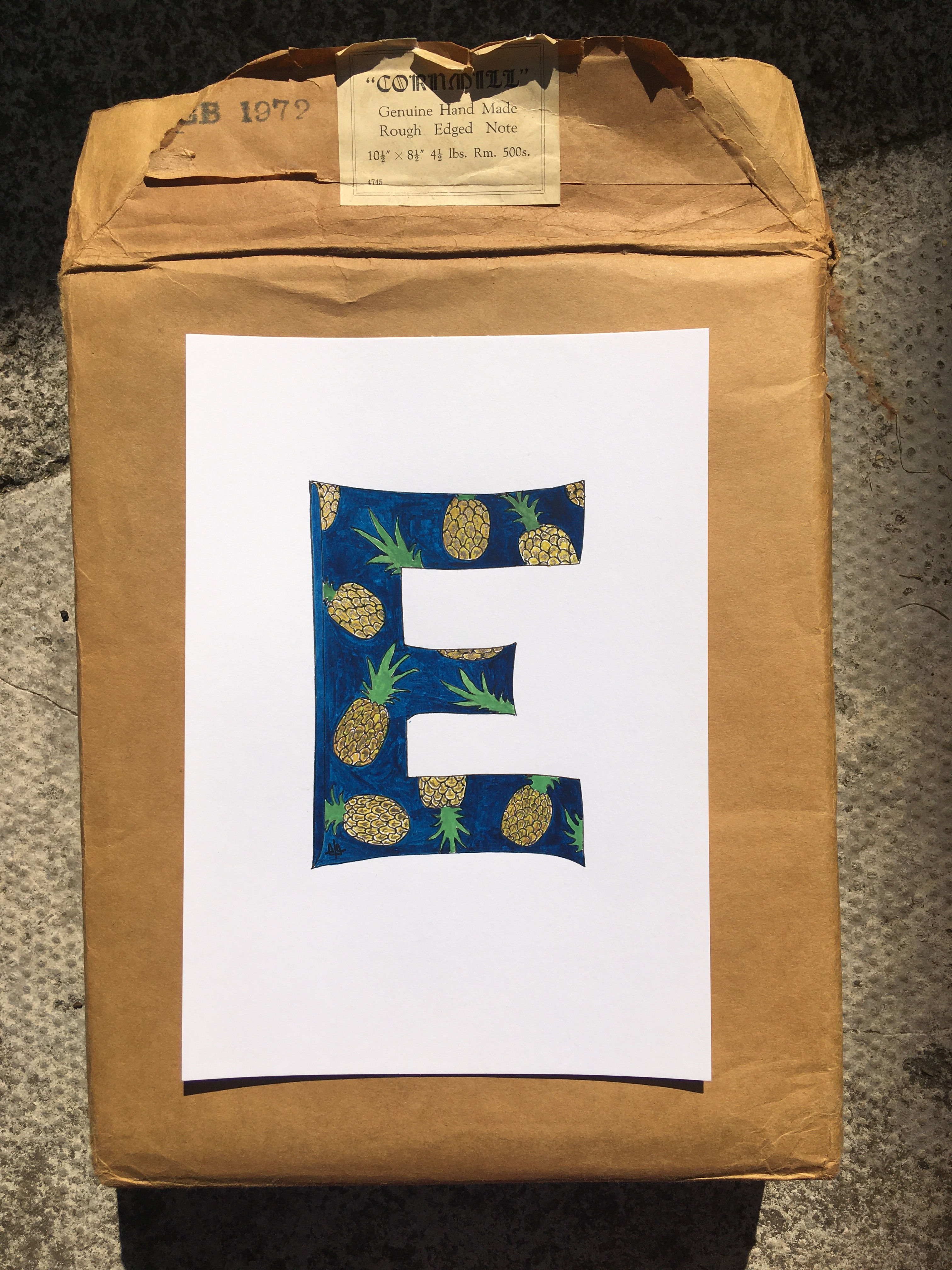 Hand Painted 'E', Pineapple Theme