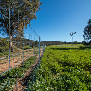 Exclusion fencing 16.jpg