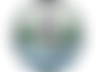 Pre-K and Kindergarten Teachers ~ Rose M. Gaffney School