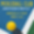 Pickleball Open  Mixed Doubles