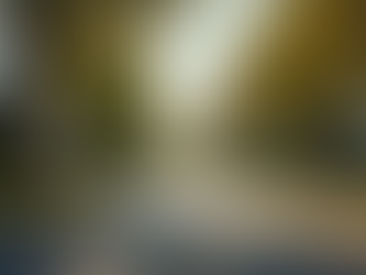 Finding Your Perfect Home in Sacramento: A Guide to Sacramento Real Estate Listings