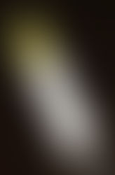 BAUME A LEVRES A LA PROPOLIS