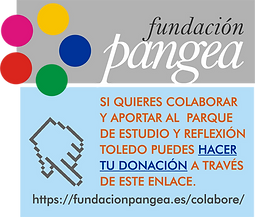 ENLACE PANGEA.png