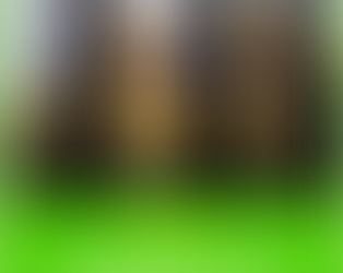 Camino de Liberación Aporte de Encarna Escribano