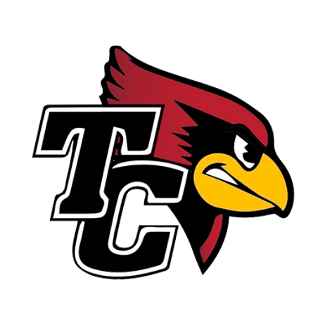 TC-Bird copy 2 (1).png