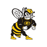 Hornet logo gold cap.png