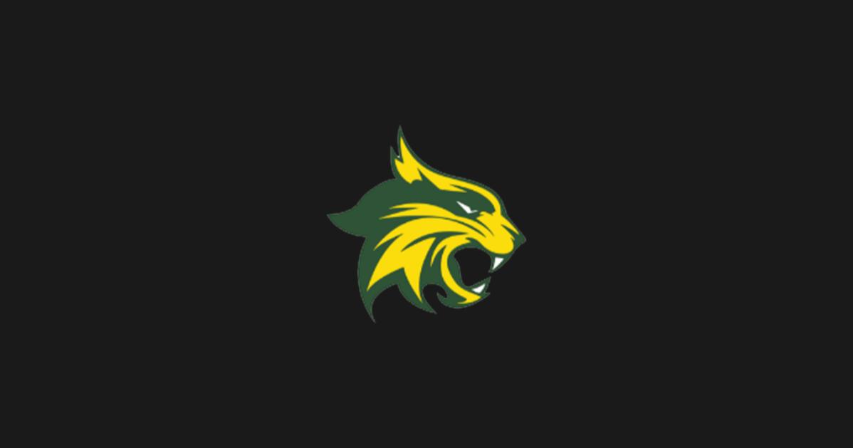 The Athletic Academy (8).png