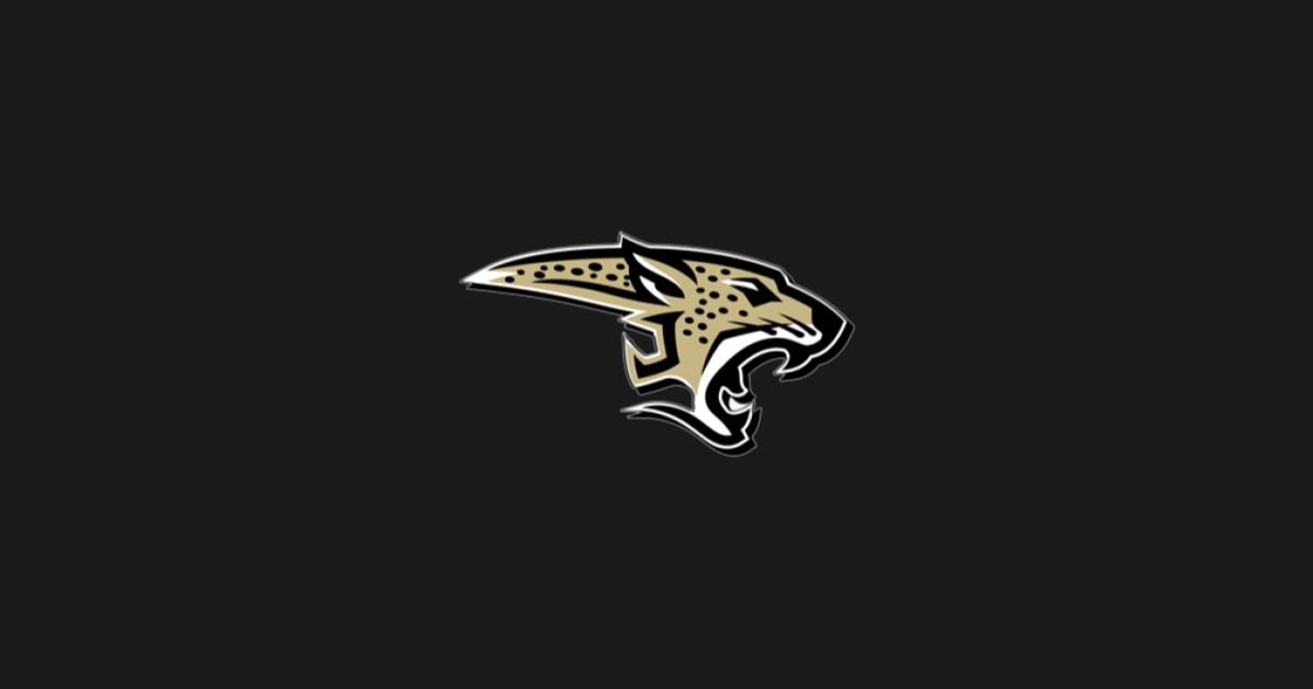 The Athletic Academy (8).png