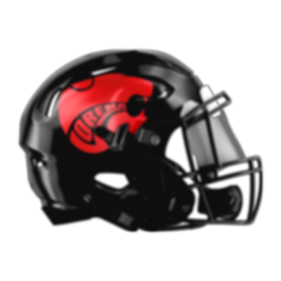 BLACK SPEEDFLEX RT copy.png