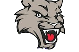 Creek Valley Logo.png