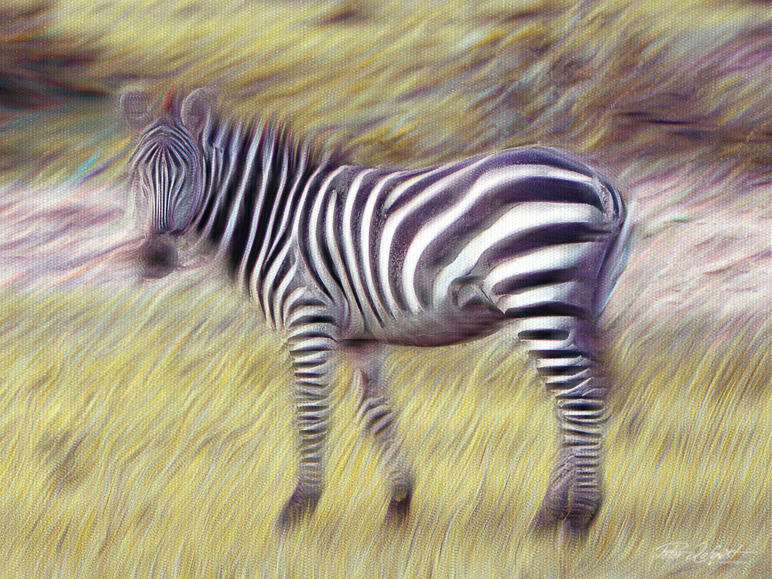 Zebra pastel