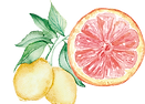 image.png