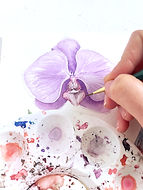 Orquídea para ilustración de boda en acuarela