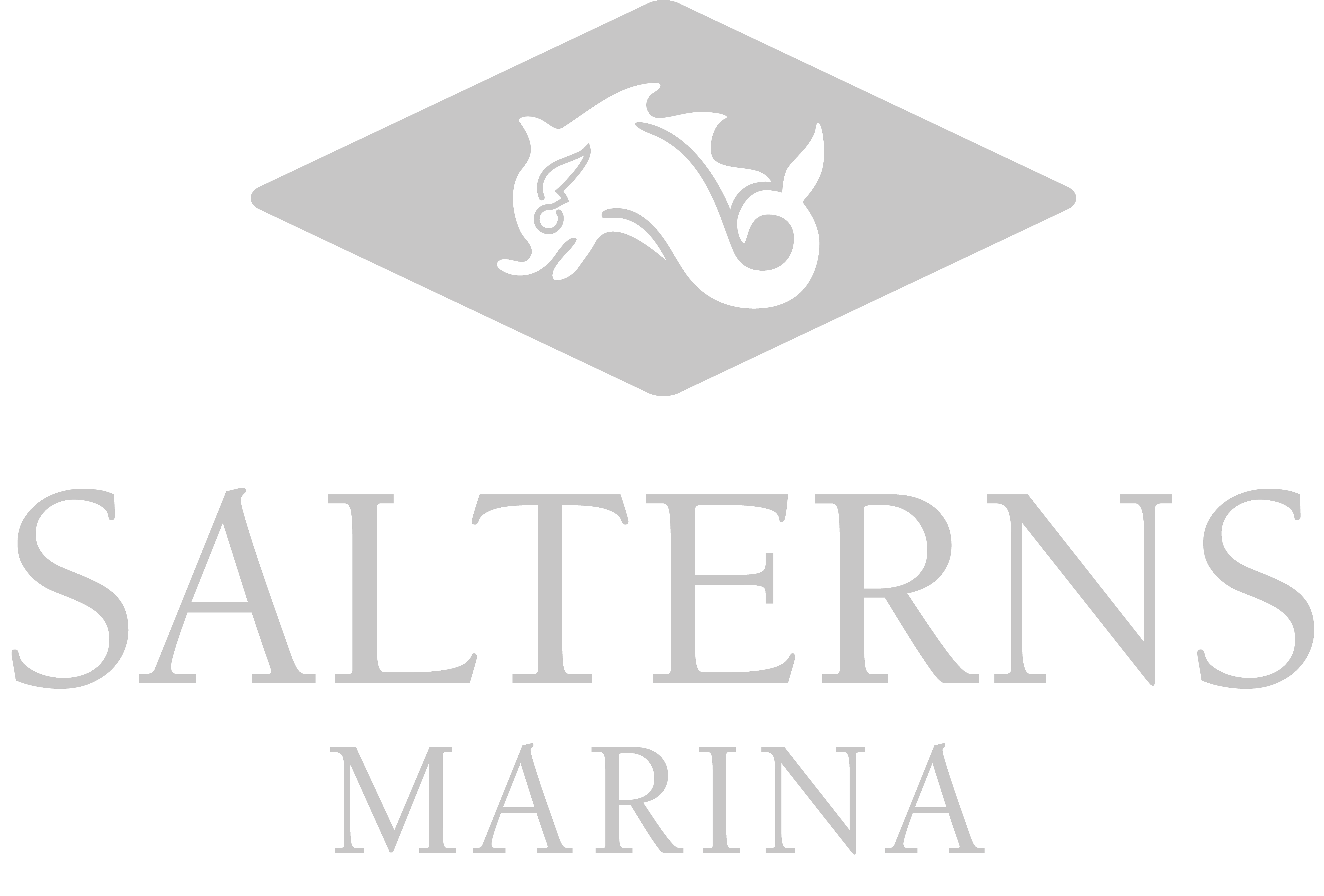Salterns Marina