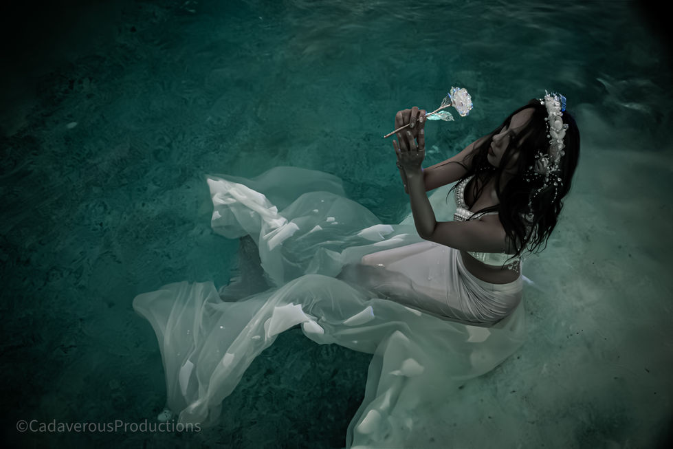 IMG_1015-Enhanced-NR