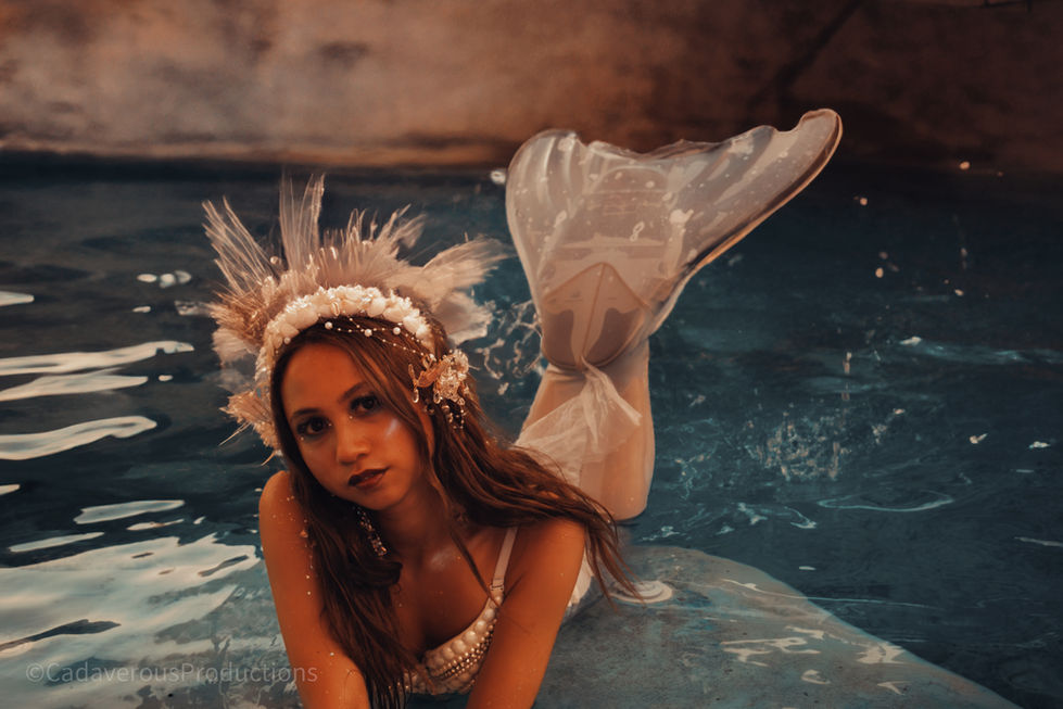 IMG_0937-Enhanced-NR-2