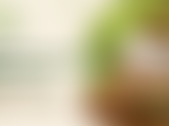 Best Panchakarma Centre for Authentic Ayurvedic Healing in Whitefield