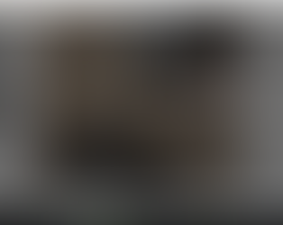 Resident Evil Outbreak Remake em Progresso