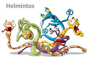 helmintos.jpg