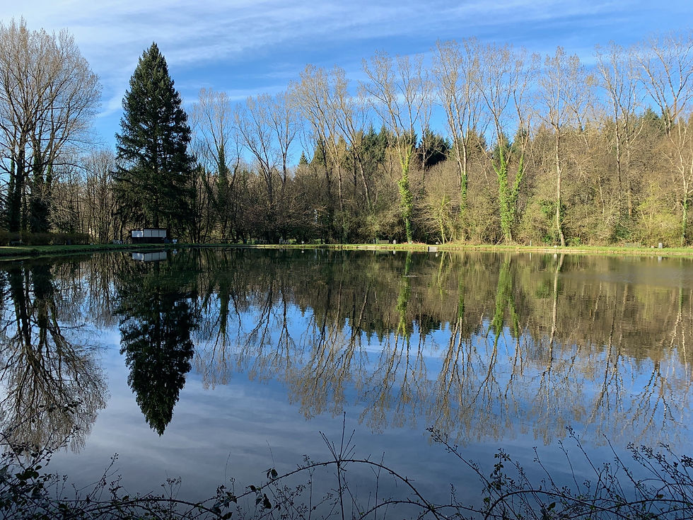 Vue d'ensemble Lac de Picarel.jpeg