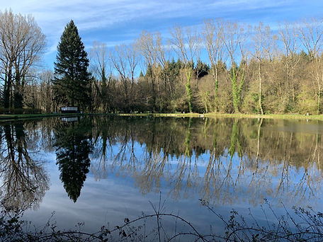 Lac - vue Est 1 - Soleil.jpg