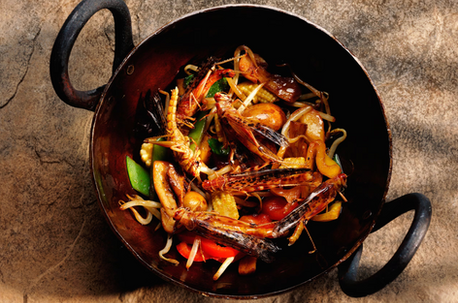 Large grasshoppers mixed in a wok starry. Credit Simon Murrel, Alamy