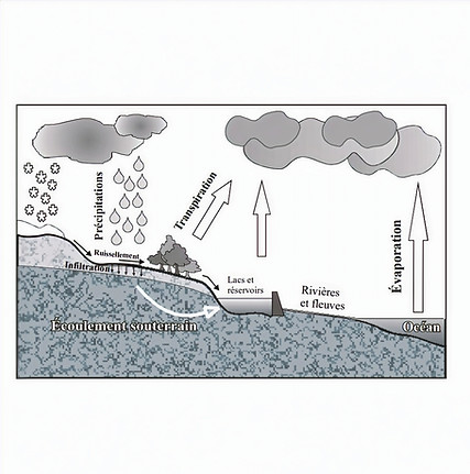 Capture d’écran 2024-08-02 105441_edited