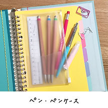 40D2BF8D-B7A5-49D2-81CE-E488C5E63CFE.jpe
