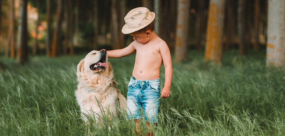 Ein Kind und Golden Retriever stehen im Wald und genießen, dank einer guten Hundeerziehung, die gemeinsame Zeit