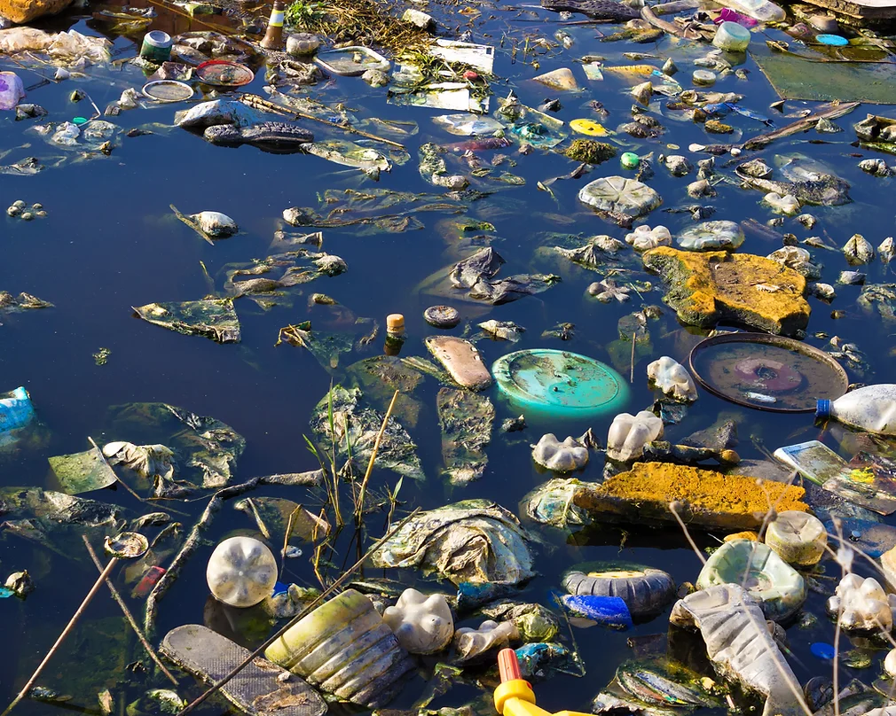 Environment Pollution.webp