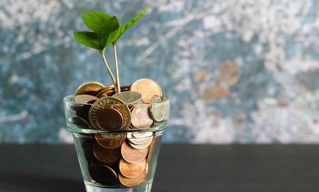 Money in a glass with a plant growing in it.