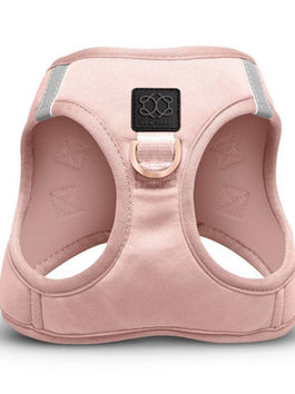Stylish and Functional: Best Dog Harness for Small Dogs