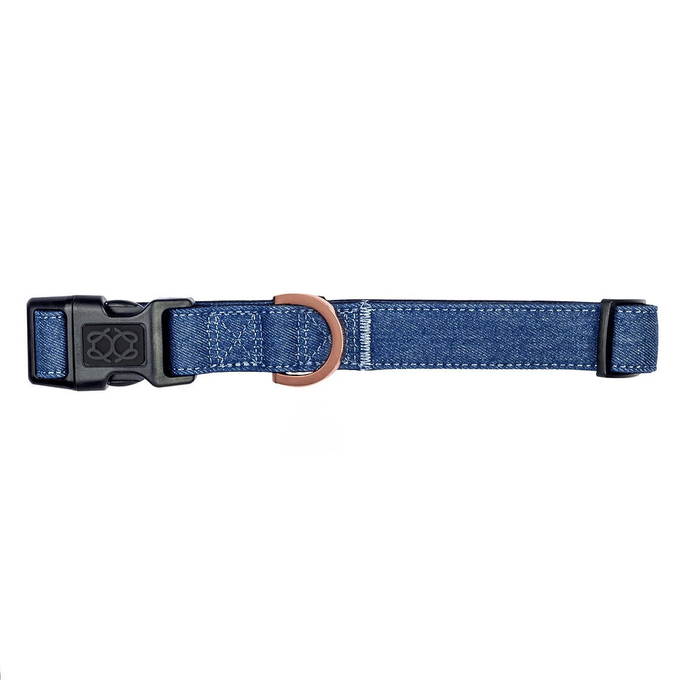 Designer Dog Collars